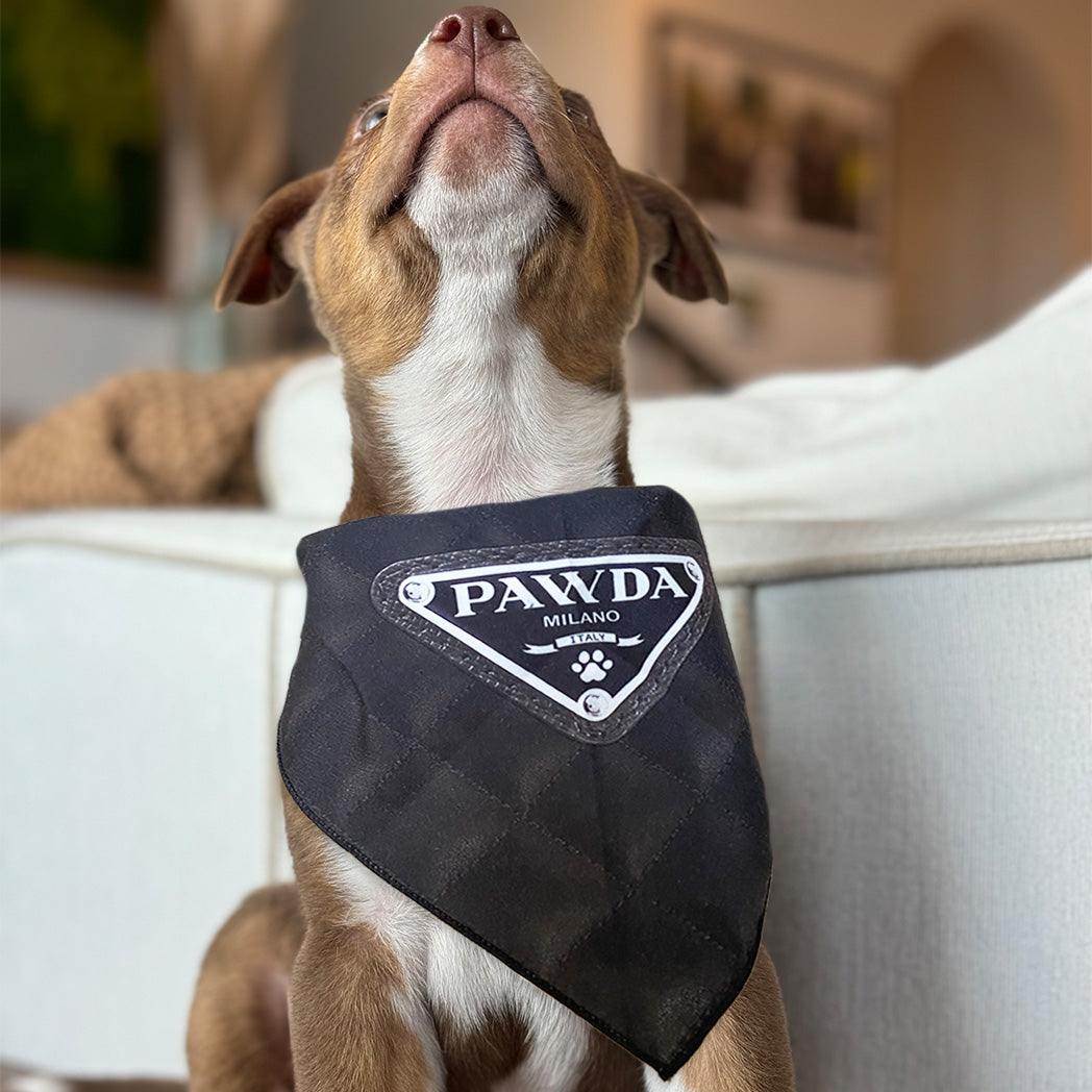 Luxury dog bandana fashion parody