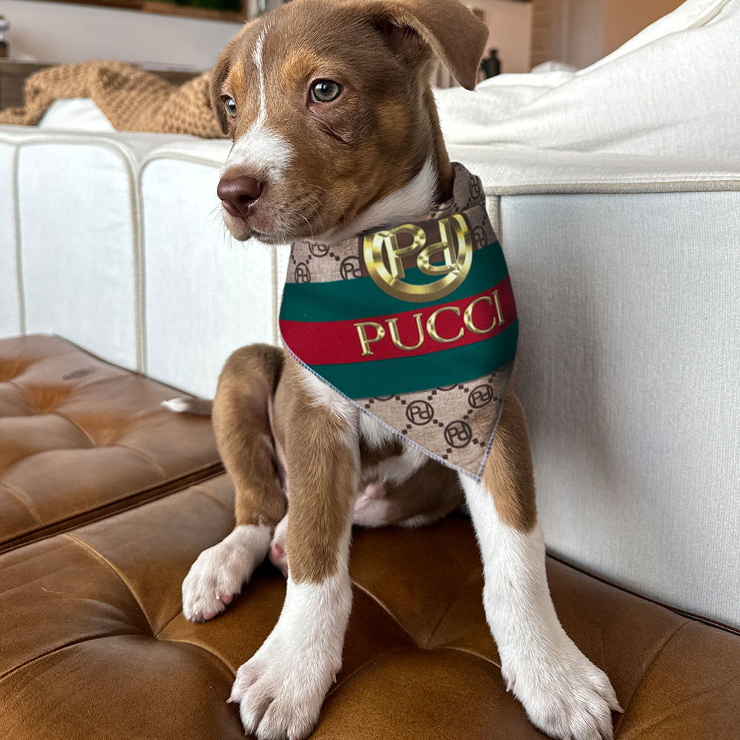 Luxury dog bandana fas