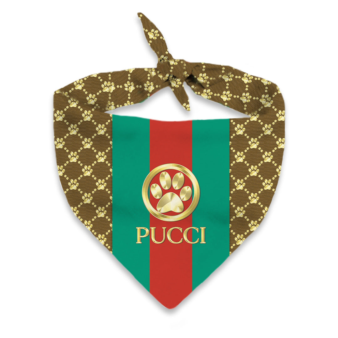Pucci Gold Paw