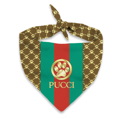 Pucci Gold Paw